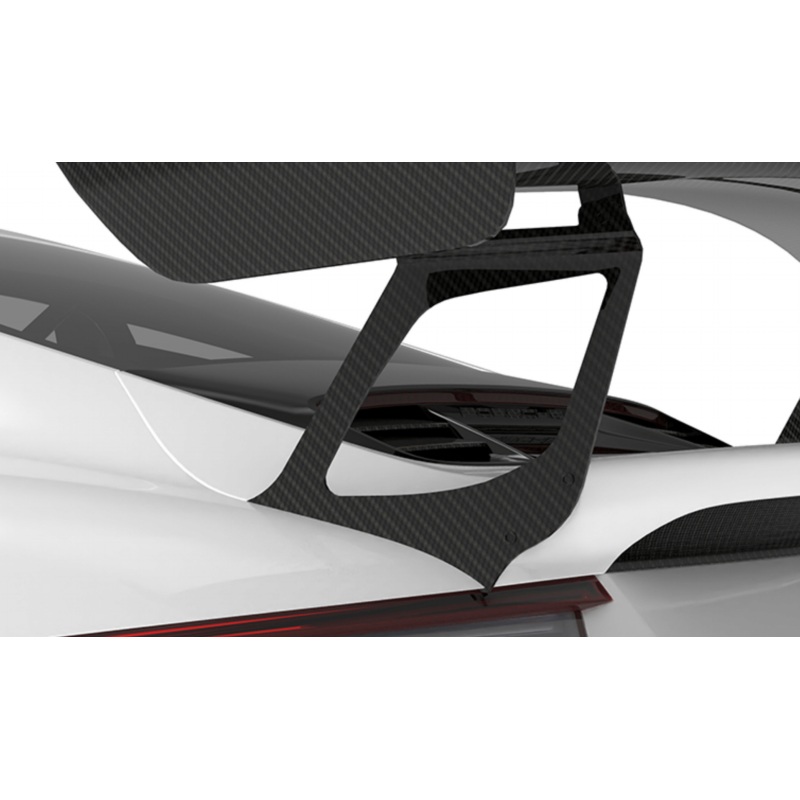 Porsche 991.2 GT3 RS-Wing Legs