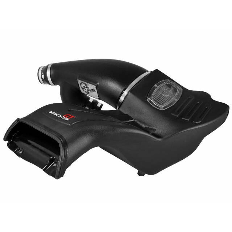 AFE Filters 51-73112-1 Momentum GT Pro Dry S Air Intake System Fits 15-17 F-150