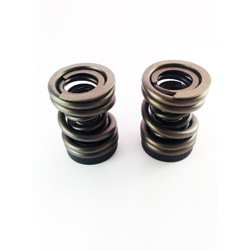 Dodge 94-98 P-Pump 3,000 and 4,000 RPM Governor Spring Kit Dynomite Diesel