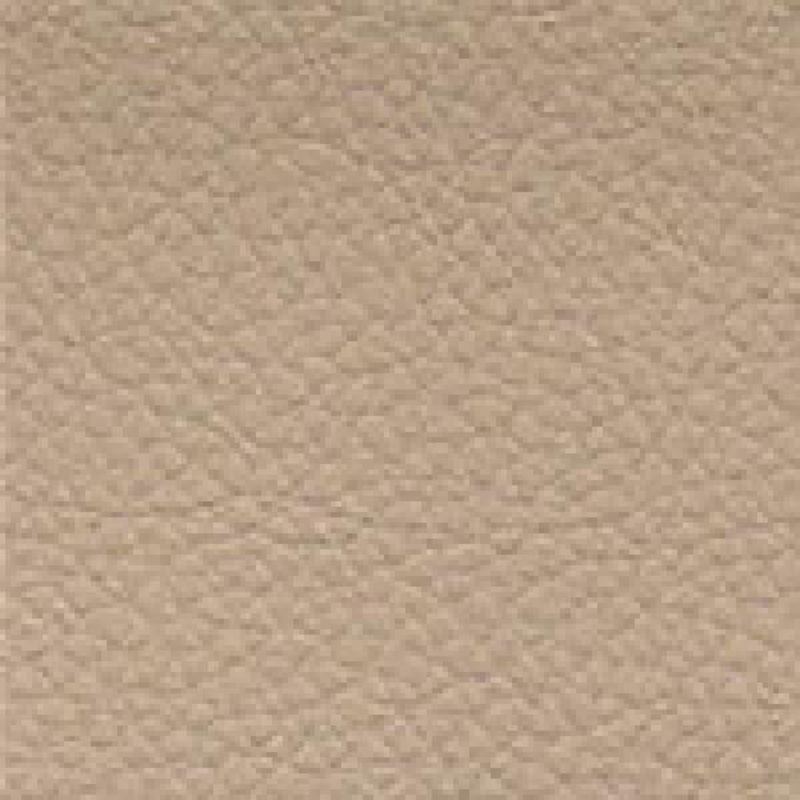 Waldoch Goldstone Colored Interior Vinyl For Conversion Vans 300110