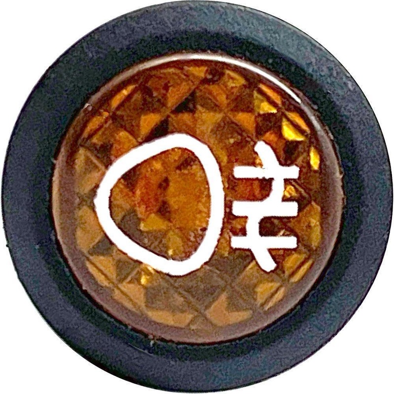 23mm Dia. REAR FOG AMBER LED Warning Light