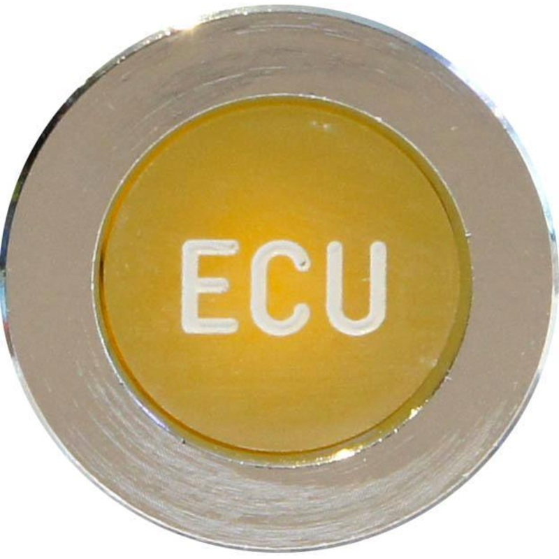LED Chrome Bezel Warning Light ECU Amber
