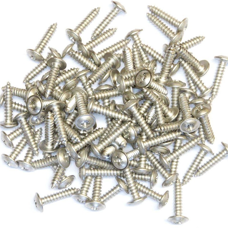 No.8 x 19mm Dome Head Stainless Self Tappers Pack of 100